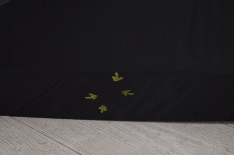 KLAPA TYLNA TYŁ BMW 1 E87 E81