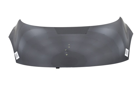 MASKA POKRYWA SILNIKA RENAULT SCENIC III 3 NV676