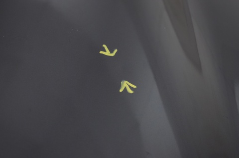 MASKA POKRYWA SILNIKA RENAULT SCENIC III 3 NV676