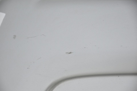 DRZWI TYLNE TYŁ LEWE CITROEN JUMPY EXPERT SCUDO II