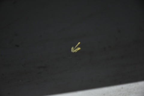 DRZWI TYLNE TYŁ PRAWE MINI CLUBMAN I R55