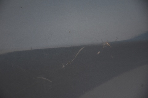 BŁOTNIK PRZEDNI PRZÓD PRAWY SUBARU LEGACY IV 33A