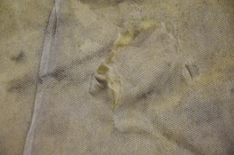 WYGŁUSZENIE MASKI RENAULT SCENIC III