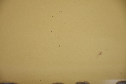 MASKA POKRYWA SILNIKA LAND ROVER FREELANDER II TAMBORA FLAME