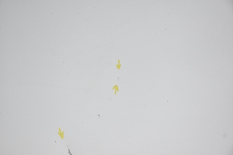 MASKA POKRYWA SILNIKA MERCEDES C W203 SPORTCOUPE 744