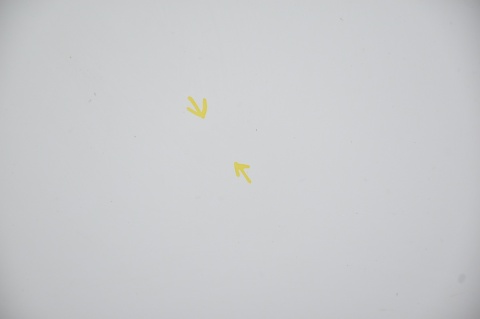 MASKA POKRYWA SILNIKA RENAULT KANGOO II