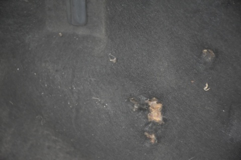 MASKA POKRYWA SILNIKA VOLVO V70 XC70 II 467-46