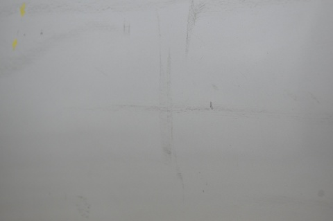 DRZWI PRZEDNIE PRZÓD PRAWE BMW 5 E60 E61