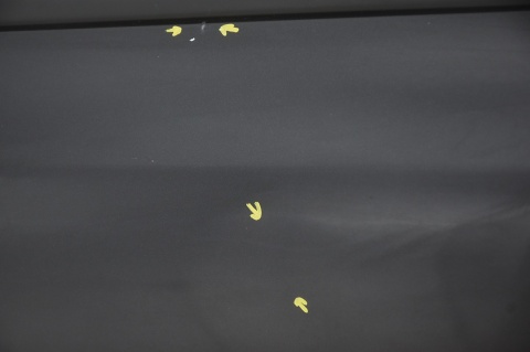 DRZWI TYLNE TYŁ PRAWE OPEL ZAFIRA C III