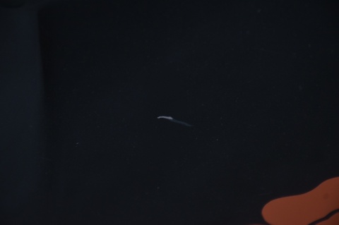 KLAPA BAGAŻNIKA TYLNA TYŁ VOLVO V70 II LIFT