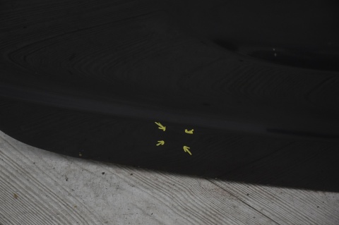 KLAPA TYLNA TYŁ MERCEDES ML W164