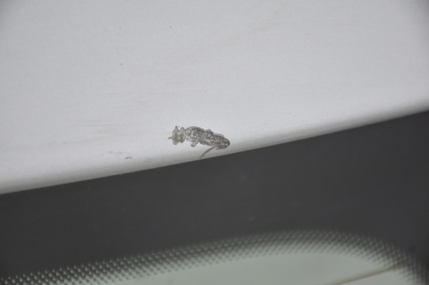 KLAPA TYLNA TYŁ SEAT IBIZA IV 3D