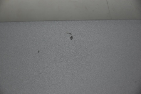 KLAPA TYLNA TYŁ SEAT LEON II LX7R