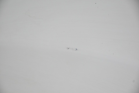 BŁOTNIK PRZEDNI PRZÓD PRAWY NISSAN QASHQAI I LIFT 326G