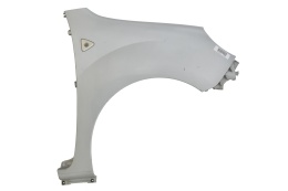 BŁOTNIK PRZEDNI PRZÓD PRAWY RENAULT KANGOO II TEB64