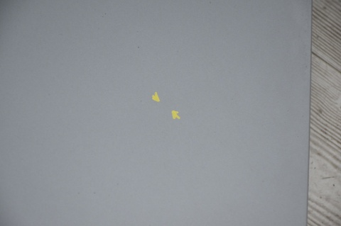 MASKA POKRYWA SILNIKA AUDI A6 C6 4F0