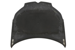 MASKA POKRYWA SILNIKA CITROEN C5 II KTVD