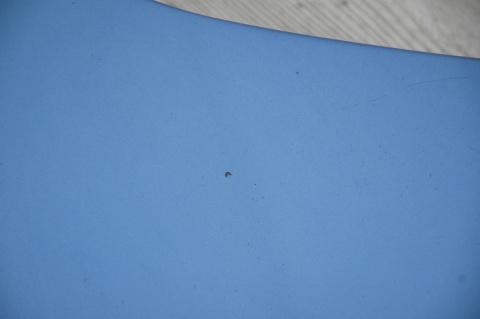 MASKA POKRYWA SILNIKA FORD FOCUS MK2 LIFT Q8