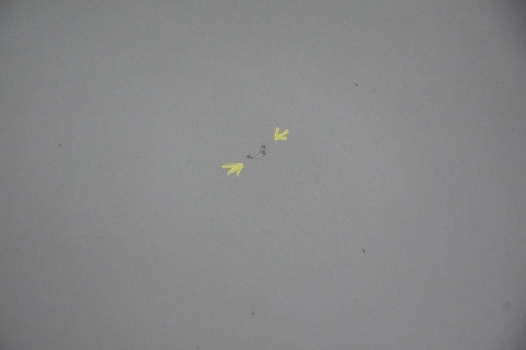 MASKA POKRYWA SILNIKA HYUNDAI TERRACAN