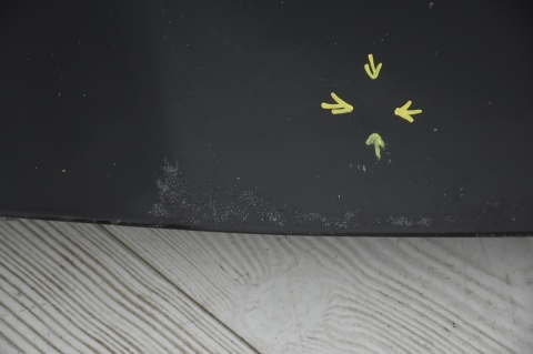 MASKA POKRYWA SILNIKA TOYOTA CELICA VI 202