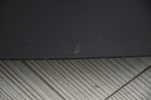 MASKA POKRYWA SILNIKA TOYOTA CELICA VI 202