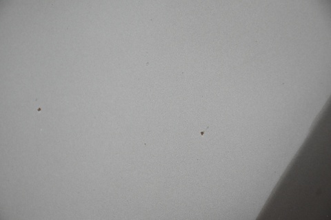 MASKA POKRYWA SILNIKA VW GOLF V PLUS LA8X