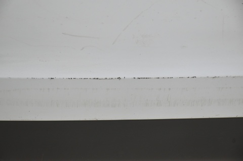 ZDERZAK TYLNY TYŁ AUDI A3 8P SPORTBACK PDC LY9C