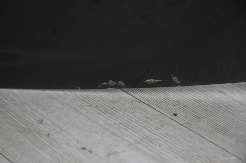 KLAPA TYLNA BAGAŻNIKA TOYOTA PRIUS III W3 202