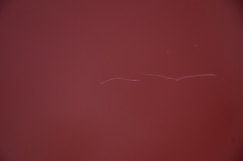 DRZWI PRAWE PRZESUWNE FIAT FIORINO QUBO BIPPER 199