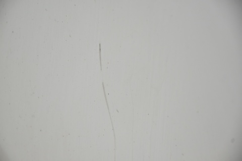 DRZWI PRZEDNIE PRZÓD LEWE NEMO BIPPER FIORINO