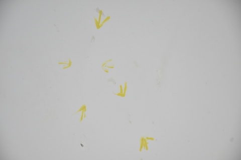 DRZWI PRZEDNIE PRZÓD LEWE NISSAN NV200