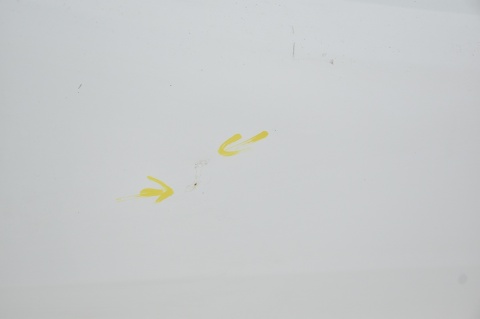 DRZWI PRZEDNIE PRZÓD PRAWE FORD TRANSIT MK8