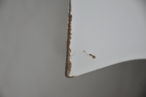 DRZWI PRZEDNIE PRZÓD PRAWY IVECO DAILY III