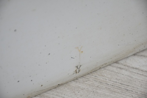 DRZWI PRZEDNIE PRZÓD PRAWY IVECO DAILY III