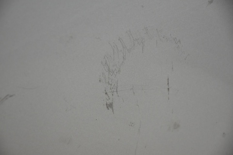 DRZWI TYLNE TYŁ LEWE HONDA CR-V III