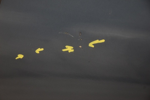 DRZWI TYLNE TYŁ LEWE SKODA YETI