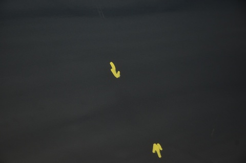 DRZWI TYLNE TYŁ LEWE SKODA YETI