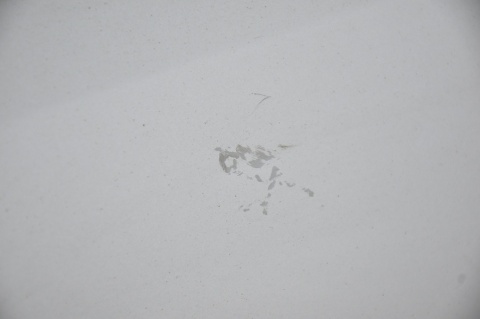 DRZWI TYLNE TYŁ PRAWE FORD C-MAX GRAND MK2