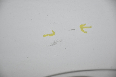 DRZWI TYLNE TYŁ PRAWE FORD C-MAX GRAND MK2