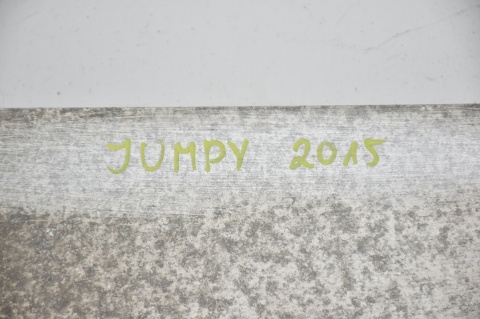 BELKA ZDERZAKA PRZÓD EXPERT SCUDO JUMPY II