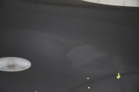 BŁOTNIK PRZEDNI PRAWY TOYOTA RAV4 III 202