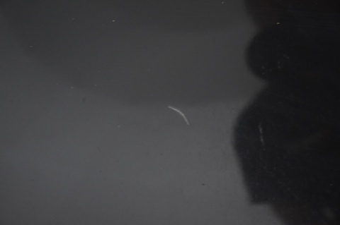 MASKA POKRYWA SILNIKA AUDI A4 B7 CABRIO LZ9Y