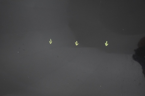 MASKA POKRYWA SILNIKA AUDI A4 B7 CABRIO LZ9Y