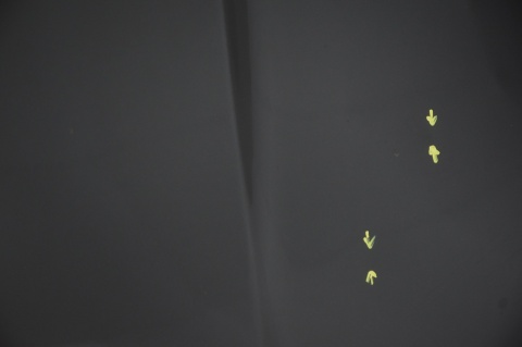 MASKA POKRYWA SILNIKA BMW X3 E83 475/9