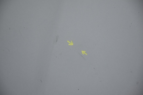 MASKA POKRYWA SILNIKA BMW X3 E83 A08/7