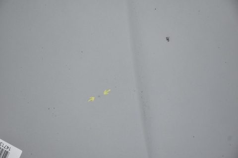 MASKA POKRYWA SILNIKA BMW X3 E83 A08/7