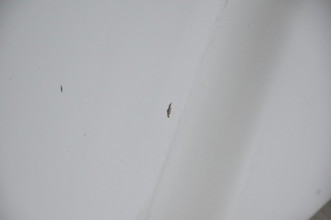 MASKA POKRYWA SILNIKA CHEVROLET CAPTIVA GAN