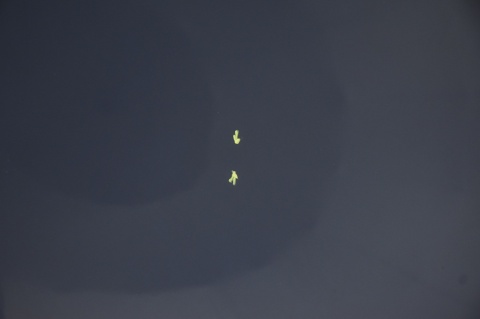 MASKA POKRYWA SILNIKA CHEVROLET CAPTIVA GKH