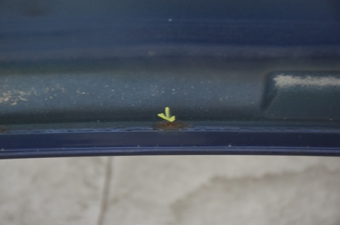 MASKA POKRYWA SILNIKA CHEVROLET CAPTIVA GKH