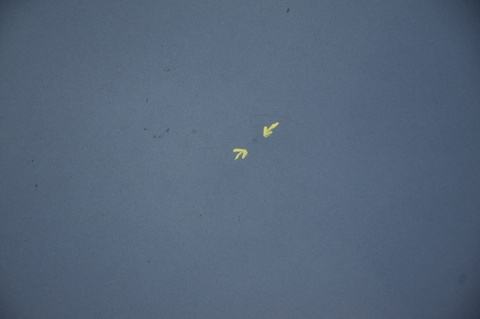 MASKA POKRYWA SILNIKA CITROEN C4 PICASSO LIFT KGQC